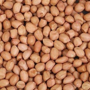Groundnut Seeds