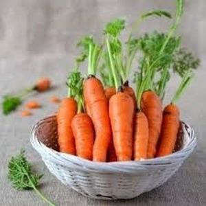Radish A Grade Carrot