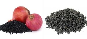 Organic Red Onion Seeds