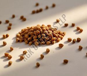Fenugreek Seed