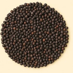 Bold Black Mustard Seeds