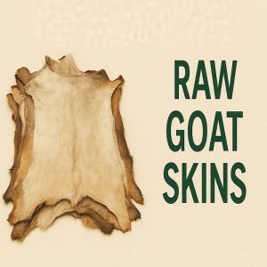 Raw Goat Skin