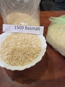 1509 Basmati Rice