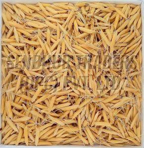 Indian Paddy Rice