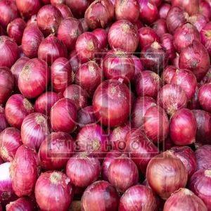 Organic Red Onion