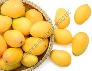 Fresh Alphonso Mango