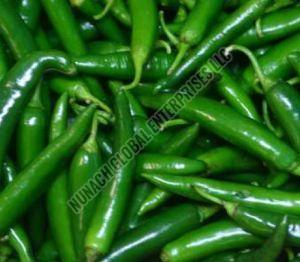 Fresh Green Chilli