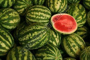 Fresh Watermelon