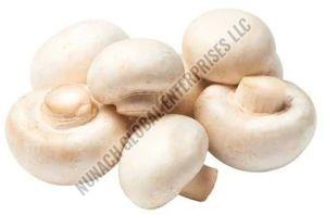 Fresh White Button Mushroom