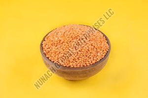 Masoor Dal