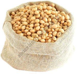 Soya Bean