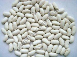 White Kidney Beans