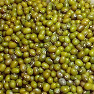 Whole Green Moong Dal