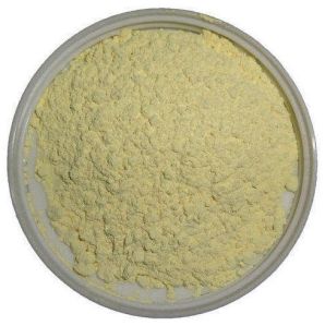 Meloxicam Powder