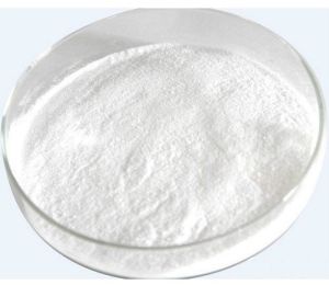 Triamcinolone Acetonide Powder