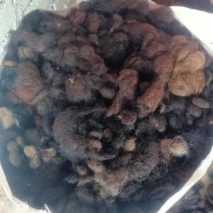 Human Hair
