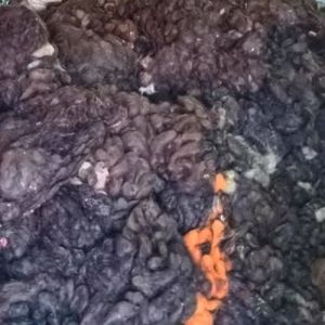 Human Hair