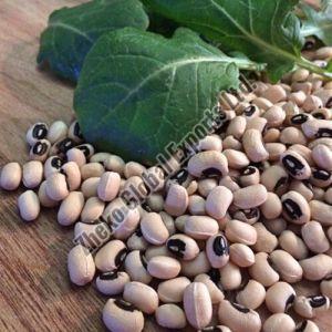 Premium High Quality Organic Black Eye Cowpea Vegan Beans
