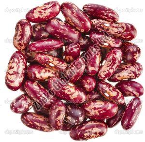 Light Speckled Kidney Beans
