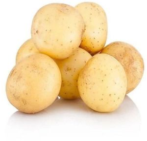 Brown A Grade Fresh Potato