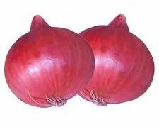 Fresh Pink Onion