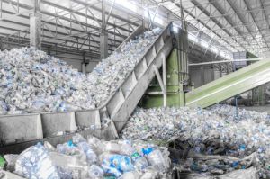 pet bottle scrap
