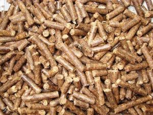Sawdust Biomass Pellet