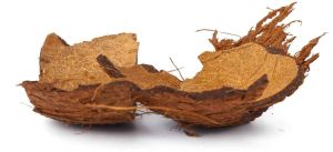 Coconut Shell