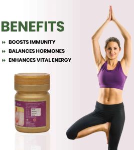 Aadi Shakti Energy Churna