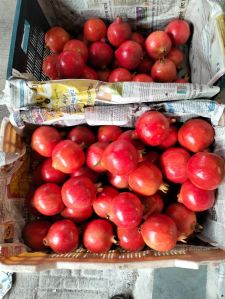 Fresh Pomegranate
