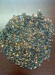 Unclean Sun Hemp Seeds