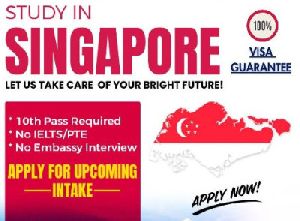 Study Visa Consultancy Services