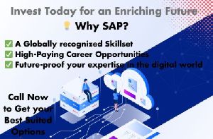 Sap Consultants