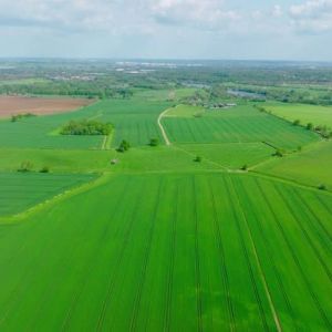 Mortgage Land Valuation Services