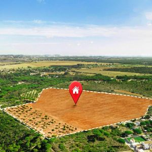 Non Agricultural Land Valuation Services