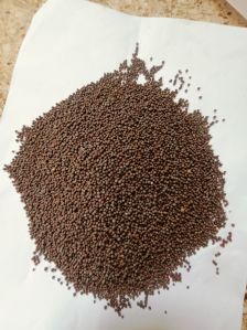 Black Sortex Mustard Seeds