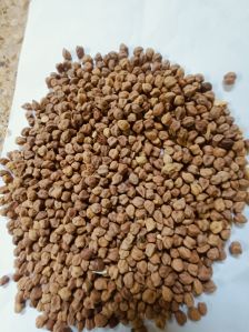 Kala Chana