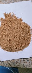 Natural Yellow Mustard Seeds