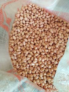 Peanut Kernels