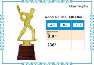 Cricket Trophy