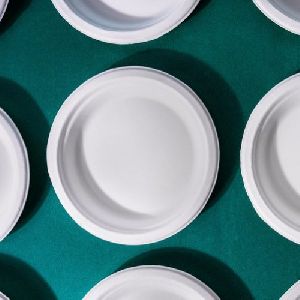 9 Inch Round Bagasse Plates (50 Pcs)