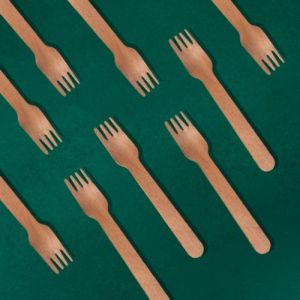 Bagasse Forks