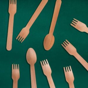 Bagasse Spoon & Fork Set