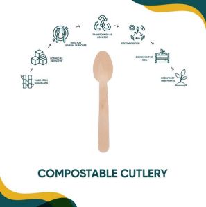 Bagasse Spoons