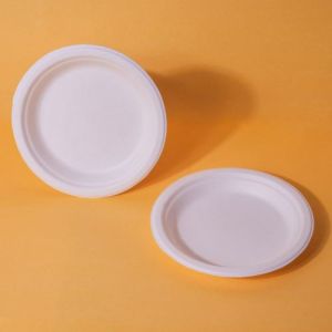 6 Inch Round Bagasse Plates