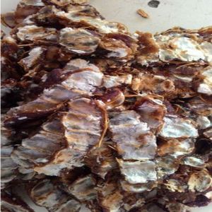 Dry Tamarind