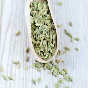 Fennel Seeds