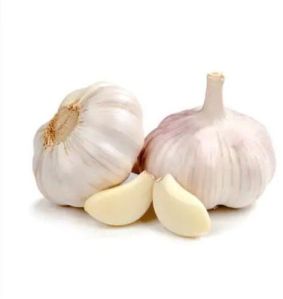 Fresh Indian Garlic