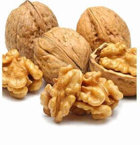 Walnut Shell