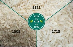 Long Grain Rice